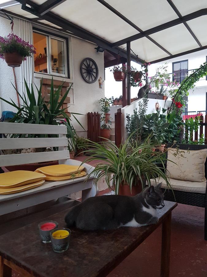 Estia Vasilis Manoli Apartman Ajía Nápa Kültér fotó